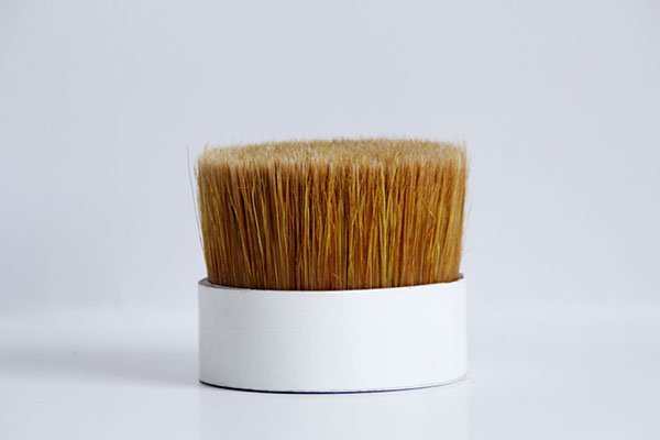 Bristle-Filament Mix, Brown