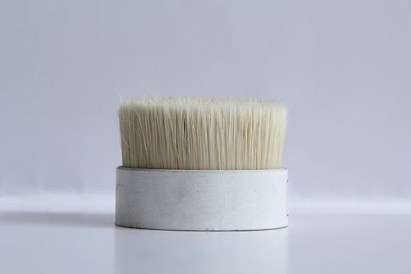 Bristle-Filament Mix, Yellow