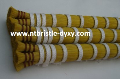 Horse Tail Hair, Yellow